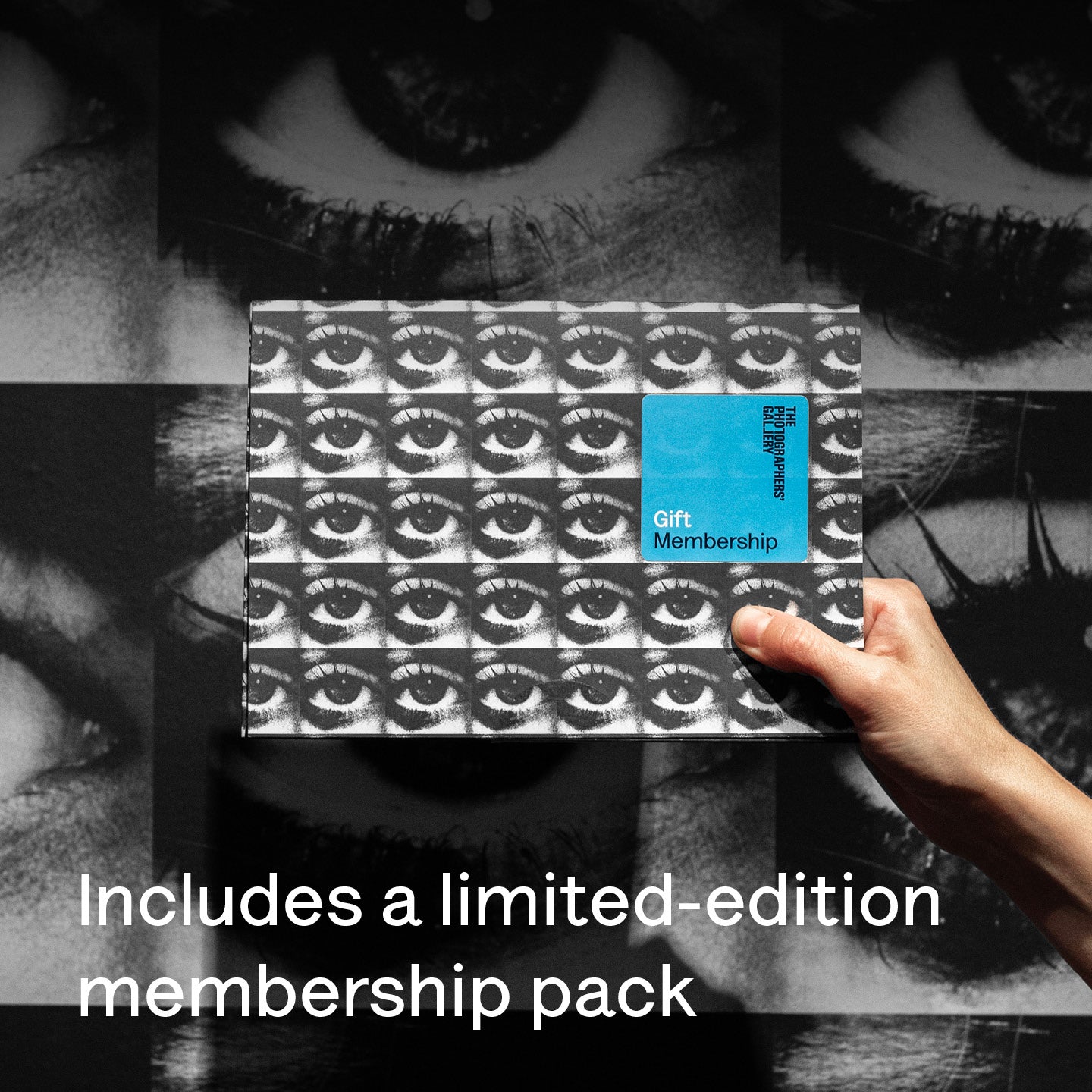 Christmas Gift Membership: Member Plus Guest