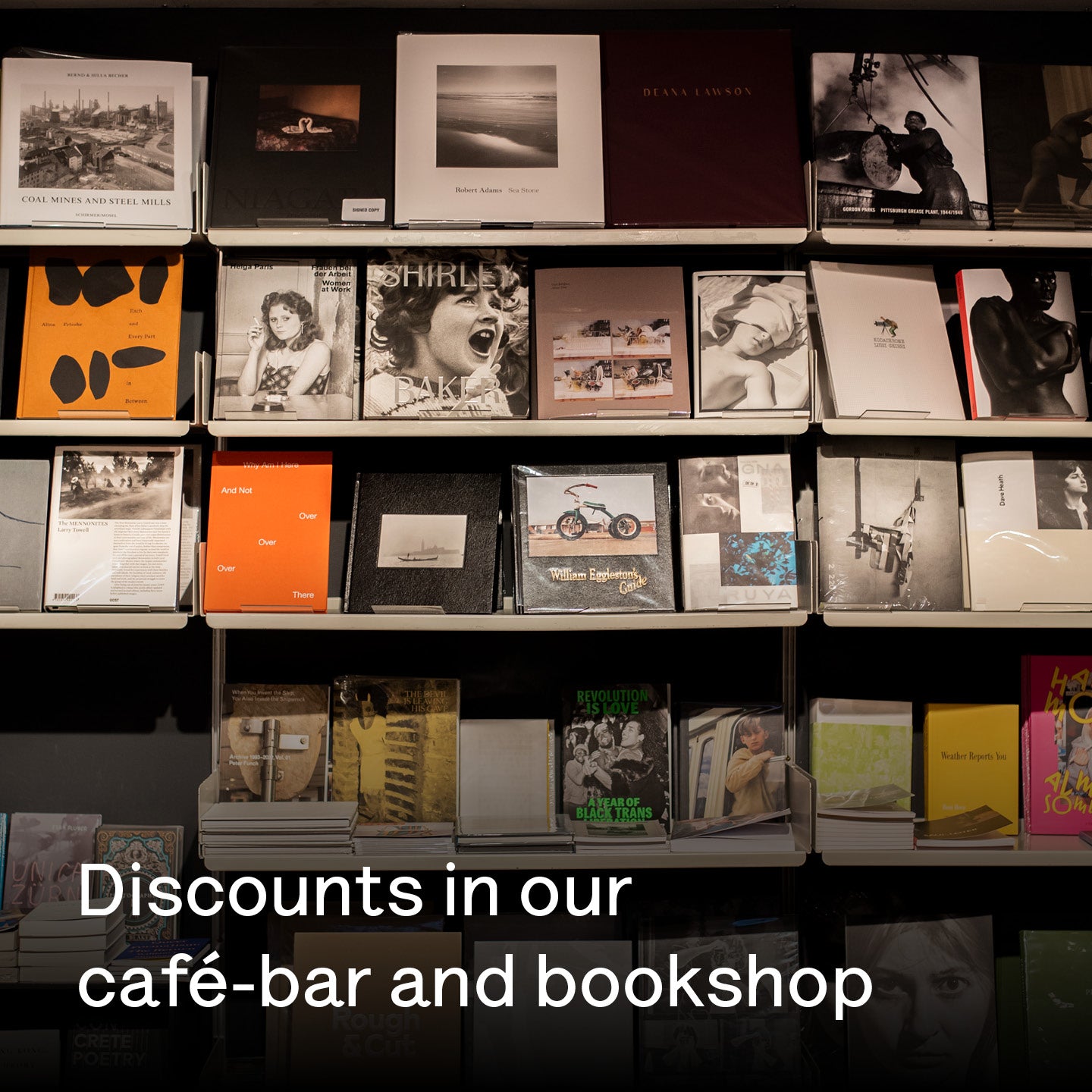 Christmas Gift Membership: Individual Member