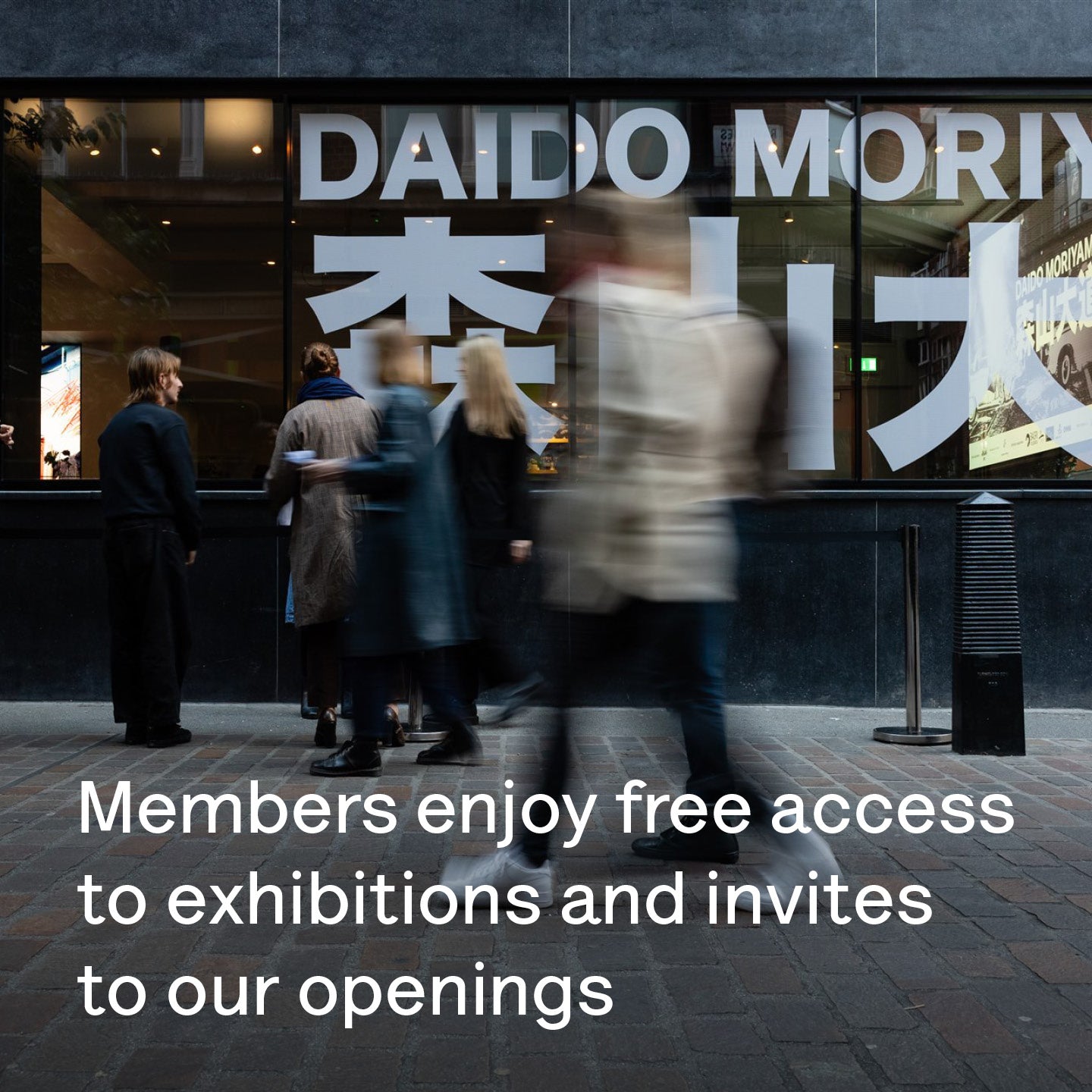 Christmas Gift Membership: Member Plus Guest
