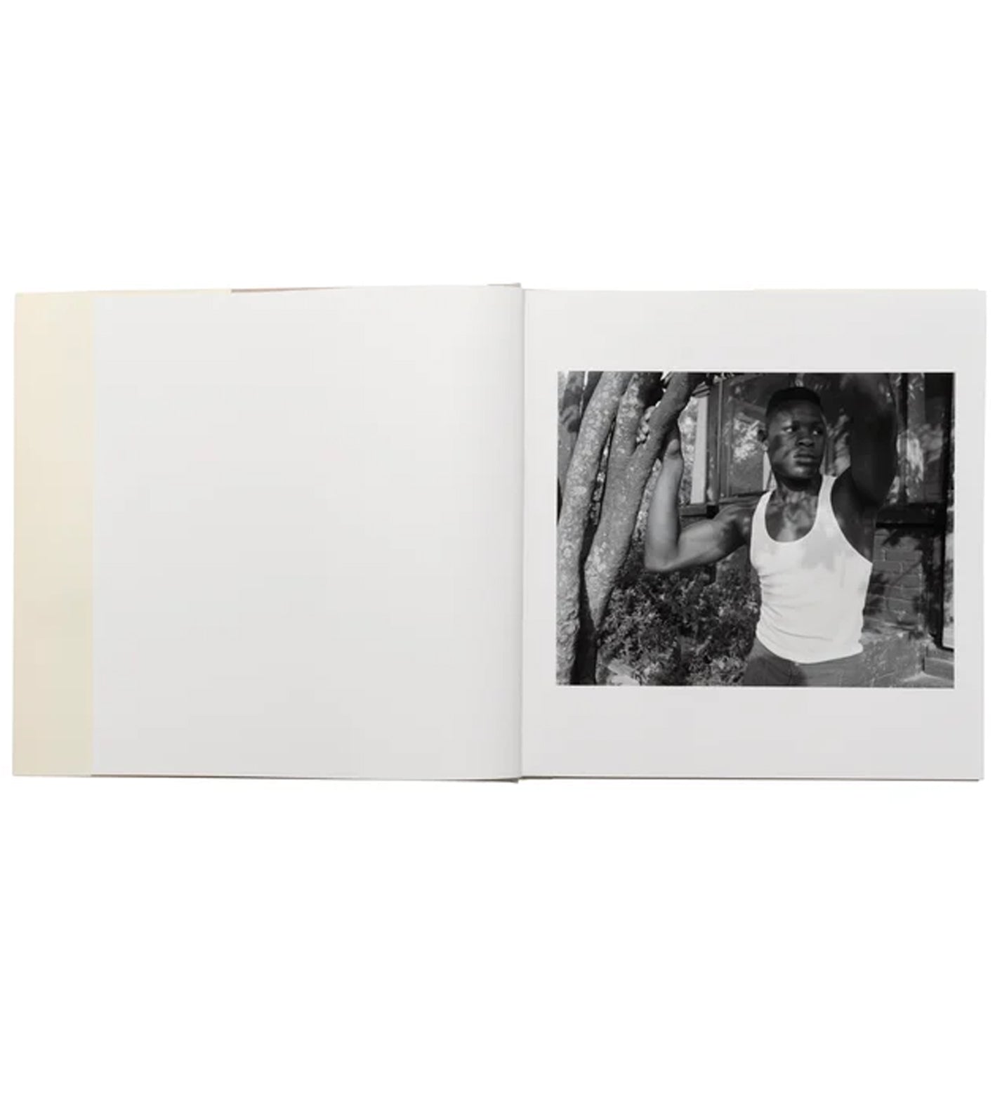 Baldwin Lee 3rd edition