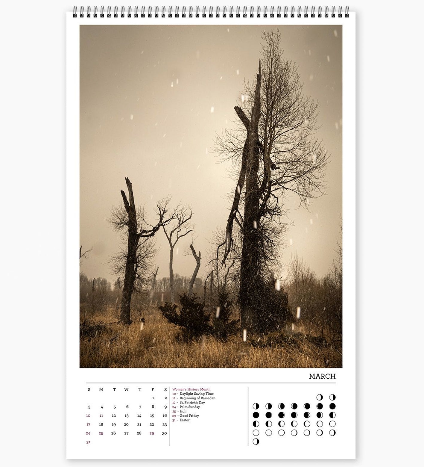 Todd Hido: 2024 Calendar (Signed, £26.00 incl VAT)