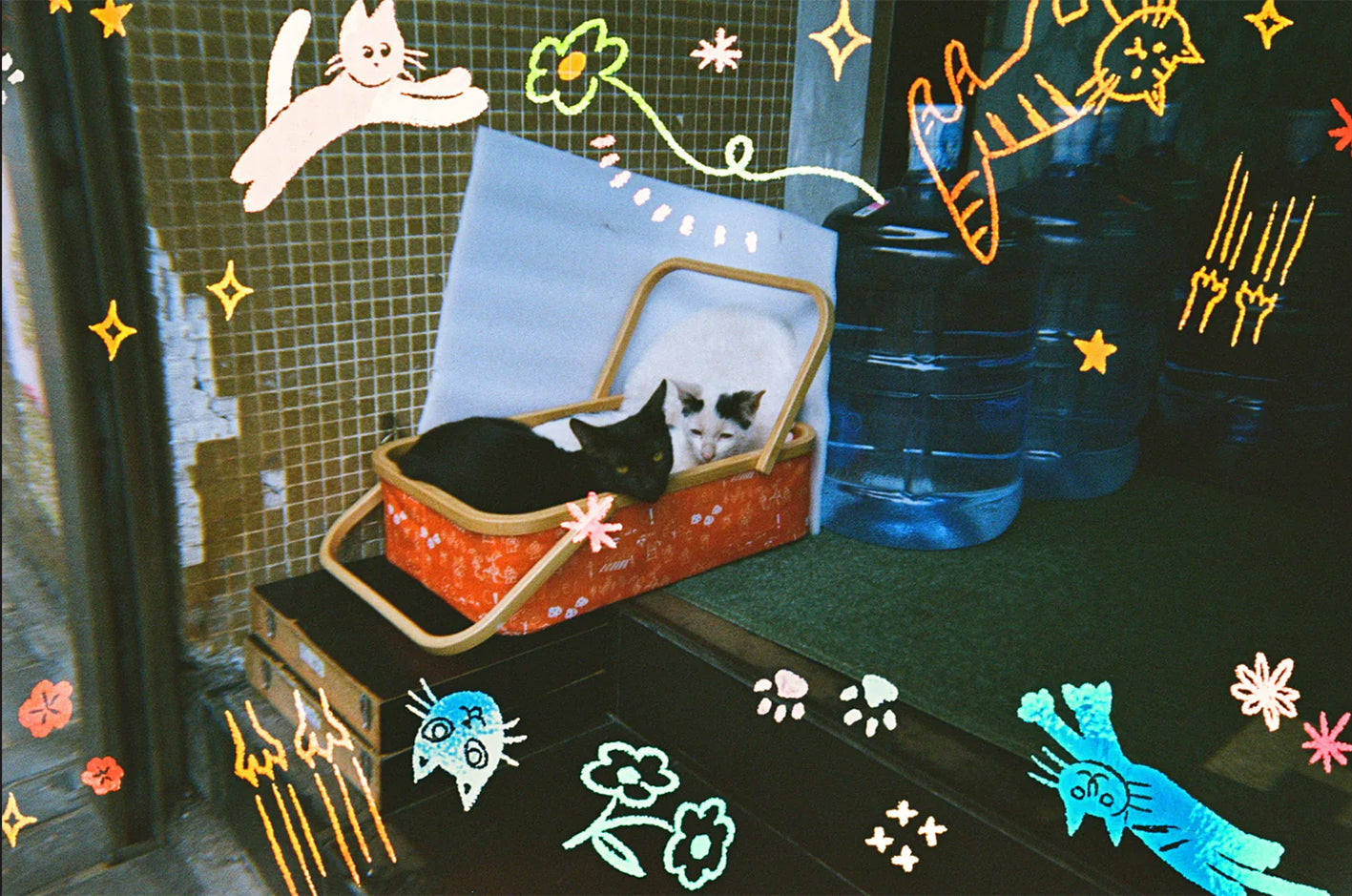 Retocolor Cat'cha 400 35mm Single Use Camera 27 exposures