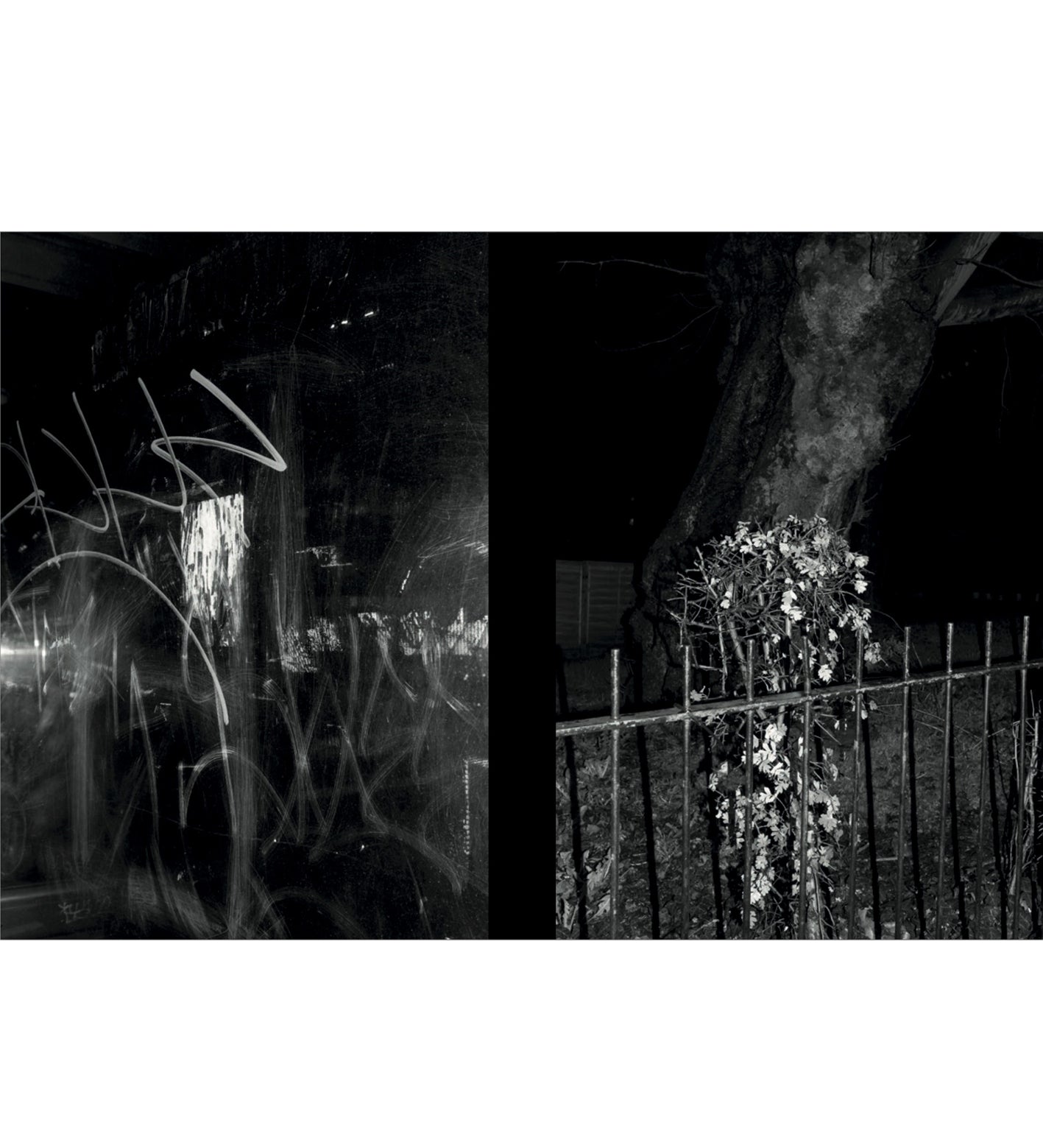 Neil Drabble: Closer (signed)