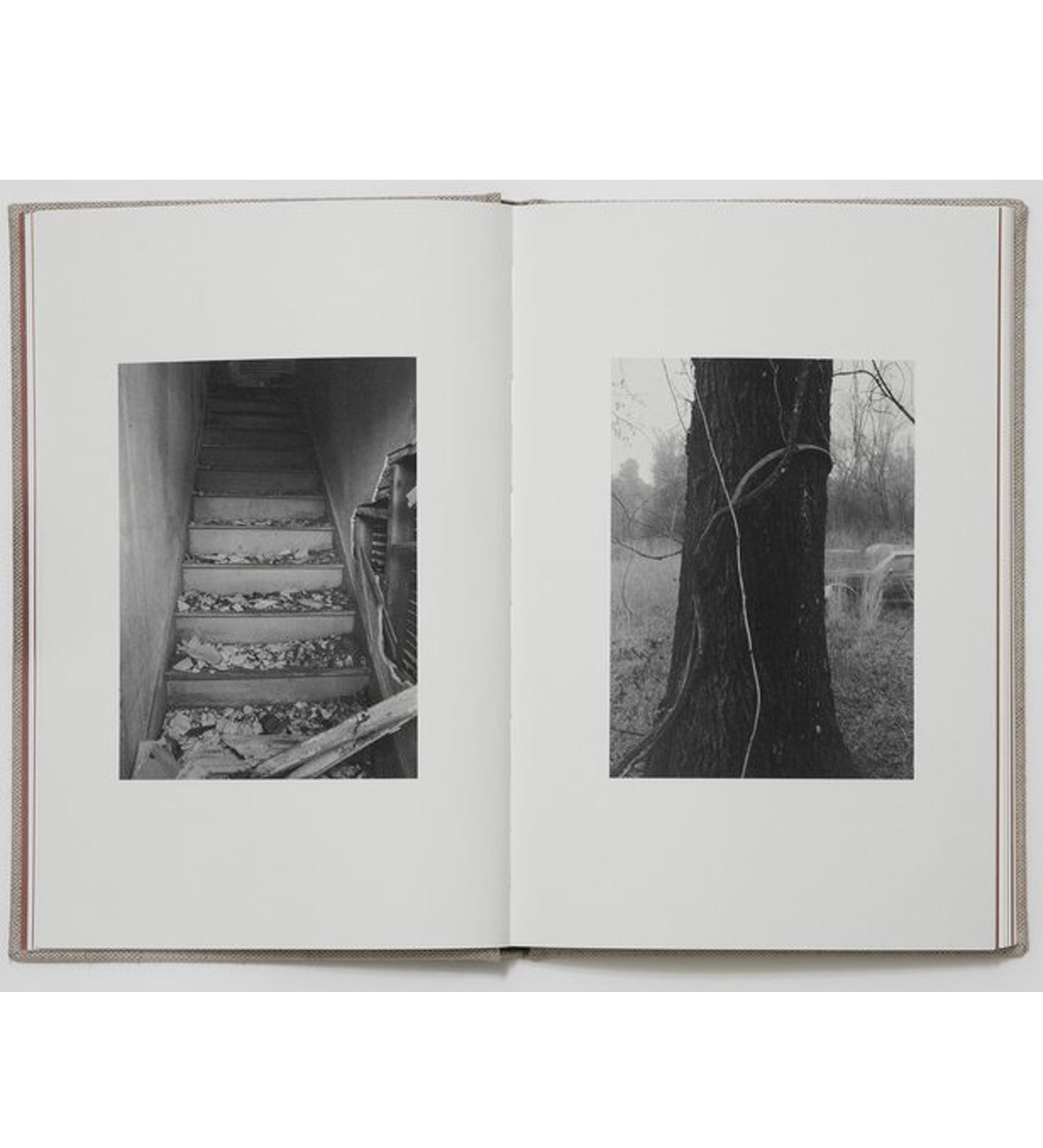 Bryan Schutmaat: County Road (signed/preorder)