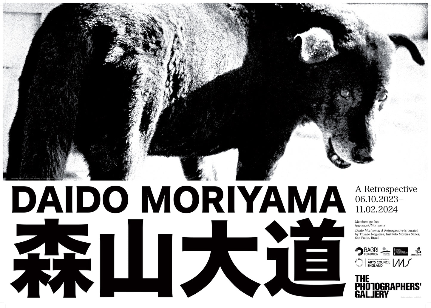 Daido Moriyama: Stray Dog Exhibition Poster A2