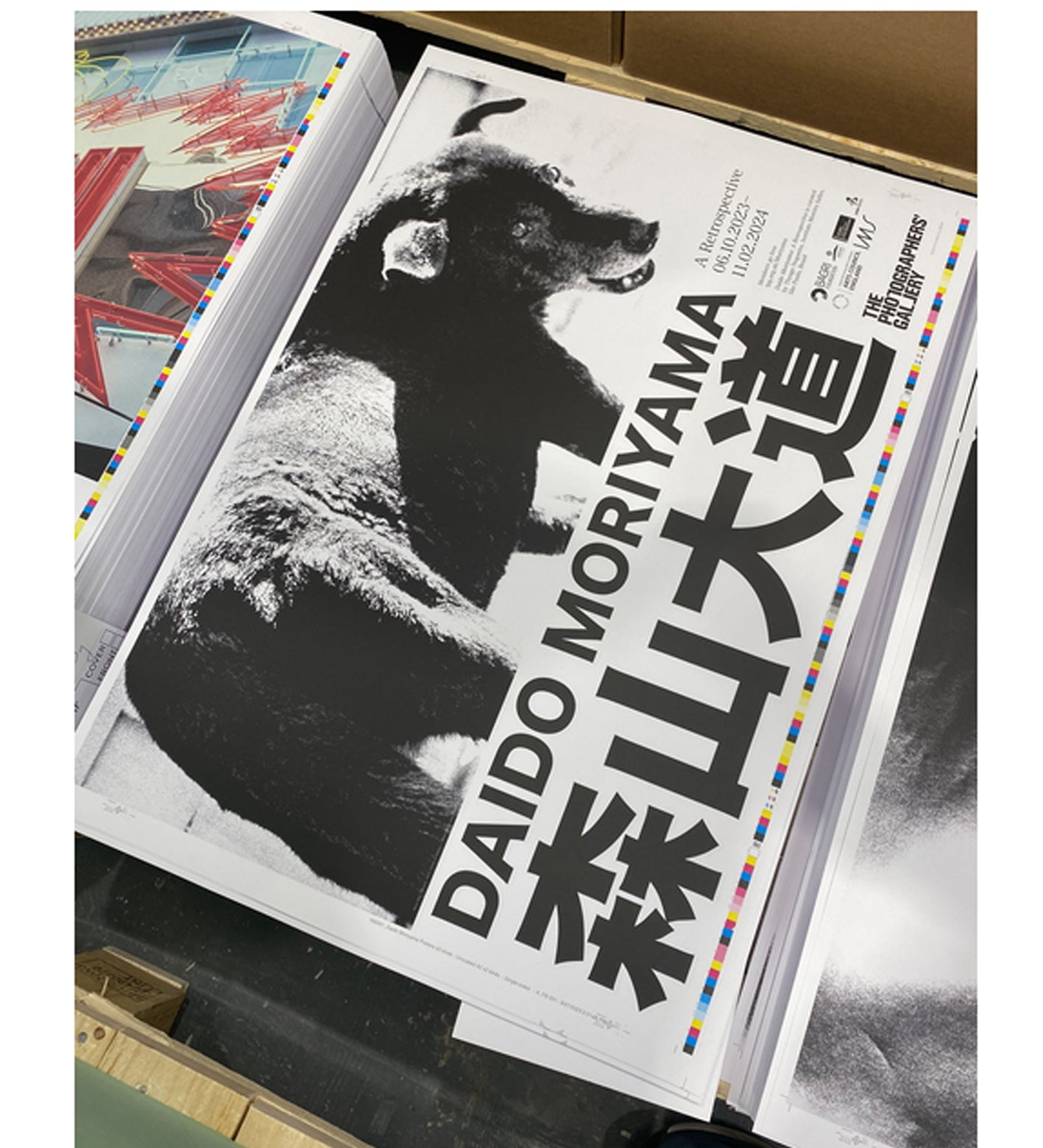 Daido Moriyama: Stray Dog Exhibition Poster A2
