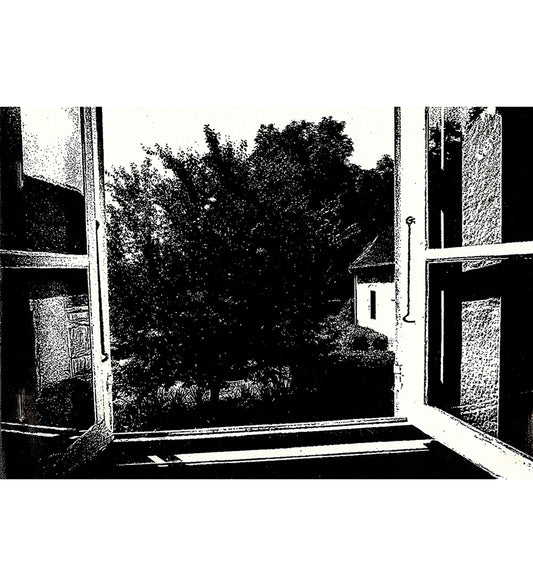 Daido Moriyama: Dear Mr. Niépce (Signed)