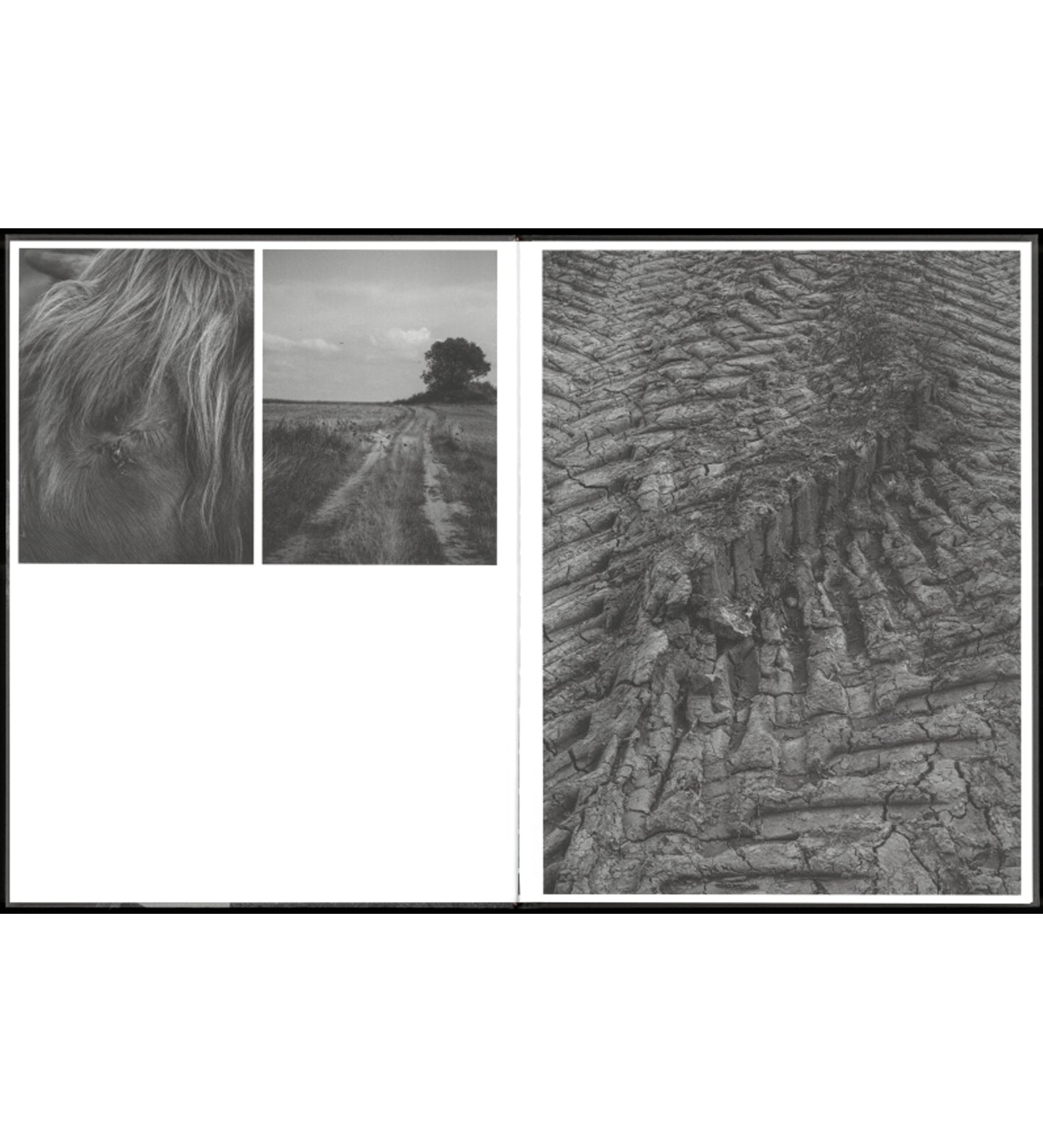 Tobias Kruse: Deponie