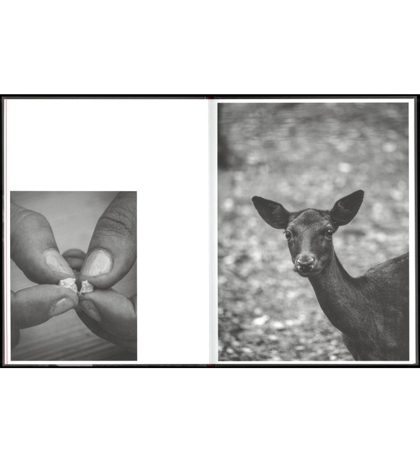 Tobias Kruse: Deponie