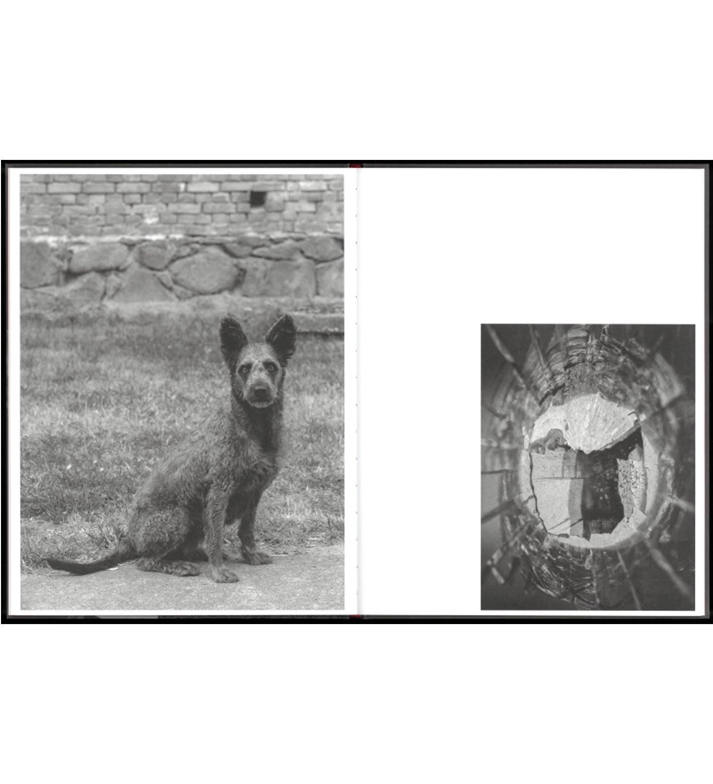 Tobias Kruse: Deponie