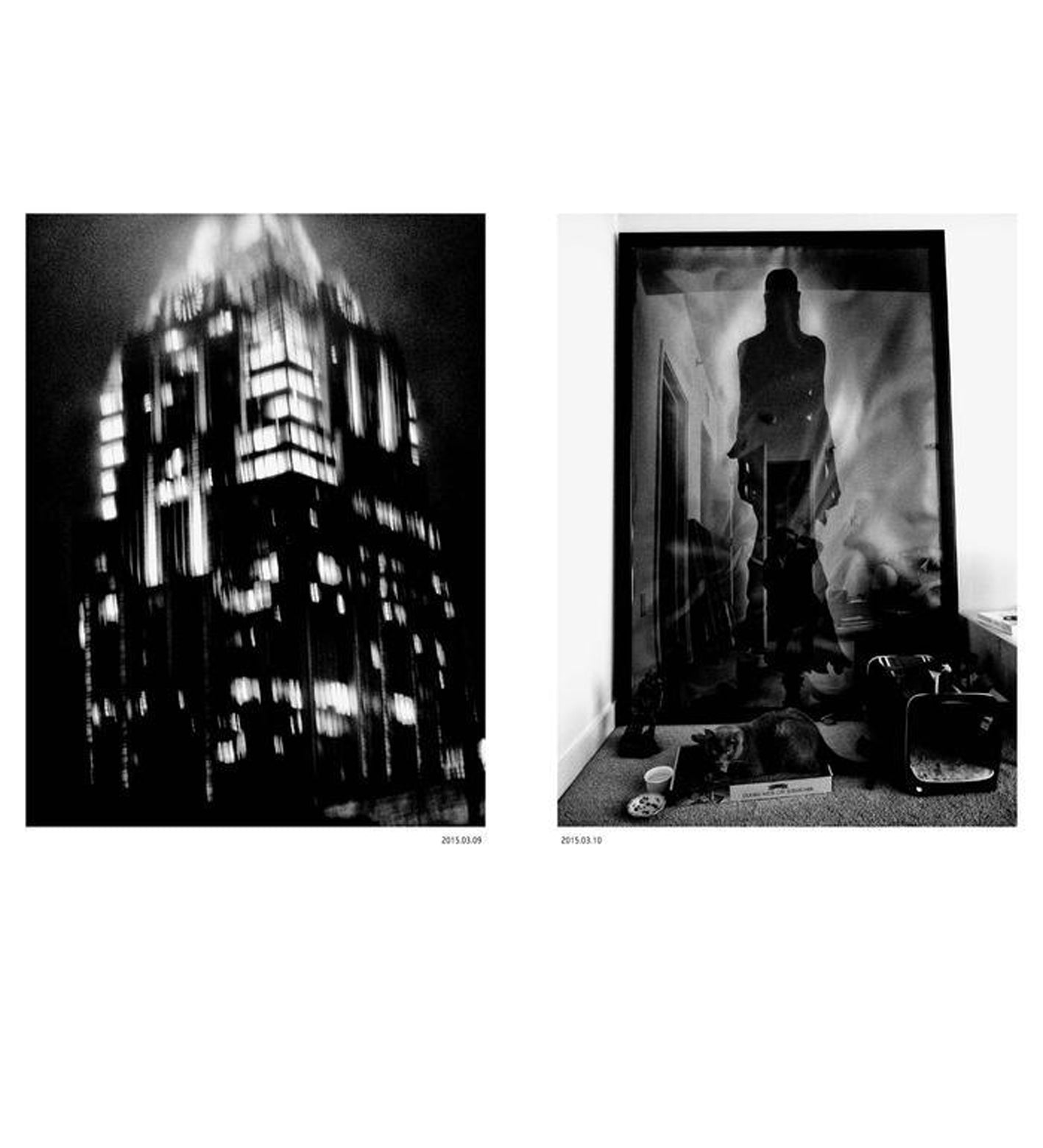 Daido Moriyama: Dog and Mesh Tights