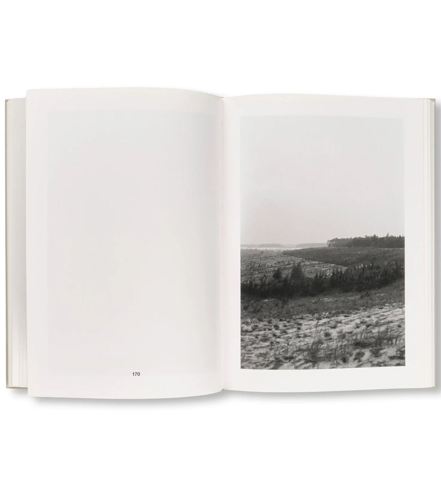 Michael Schmidt: EIN-HEIT (reissue)