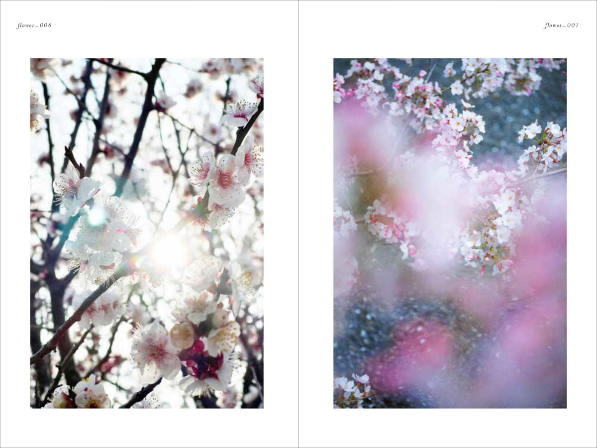 Mika Ninagawa: Flowers, Shimmering Light