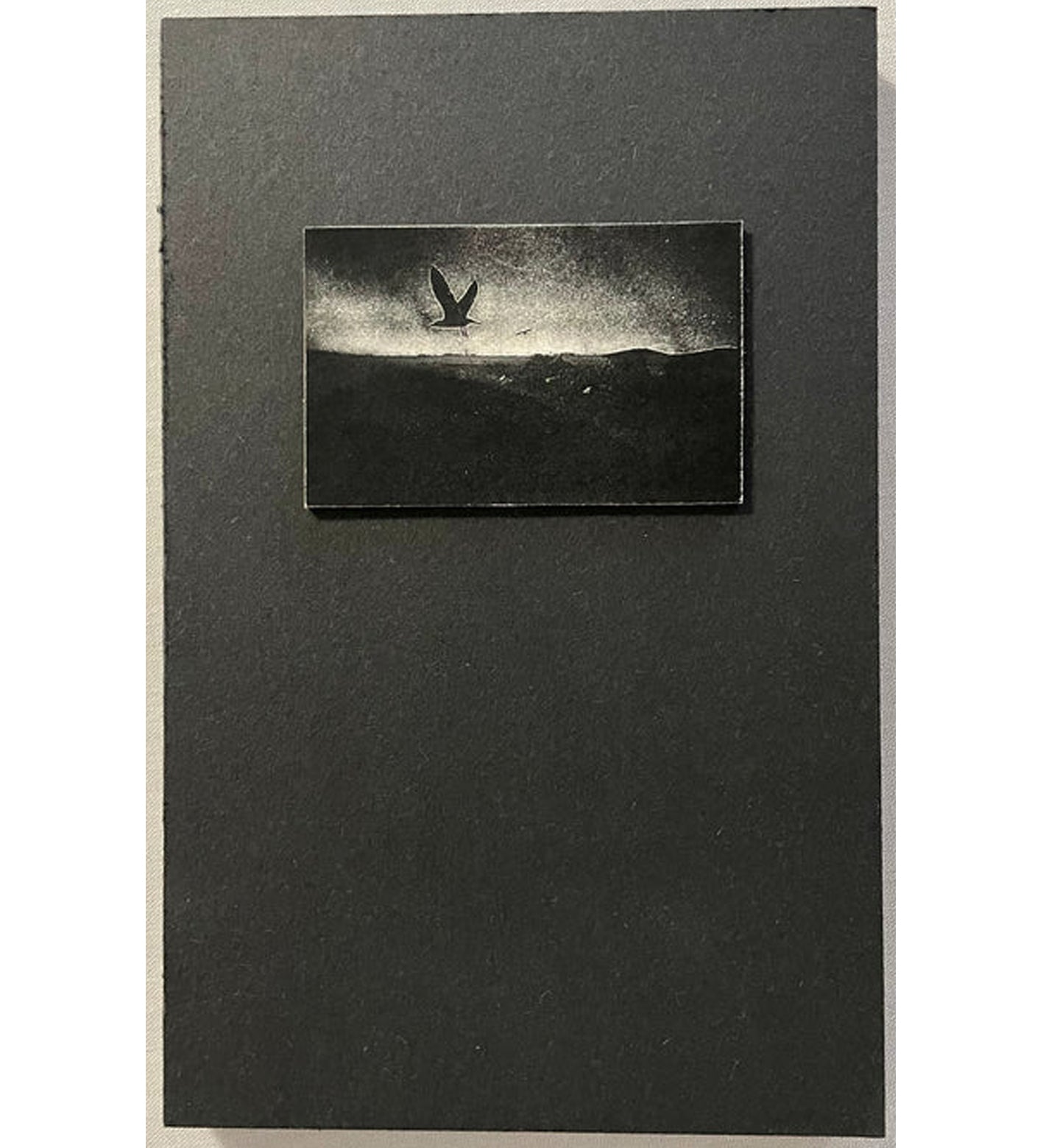 Ilias Georgiadis: Forecast / Special Edition (signed & numbered)