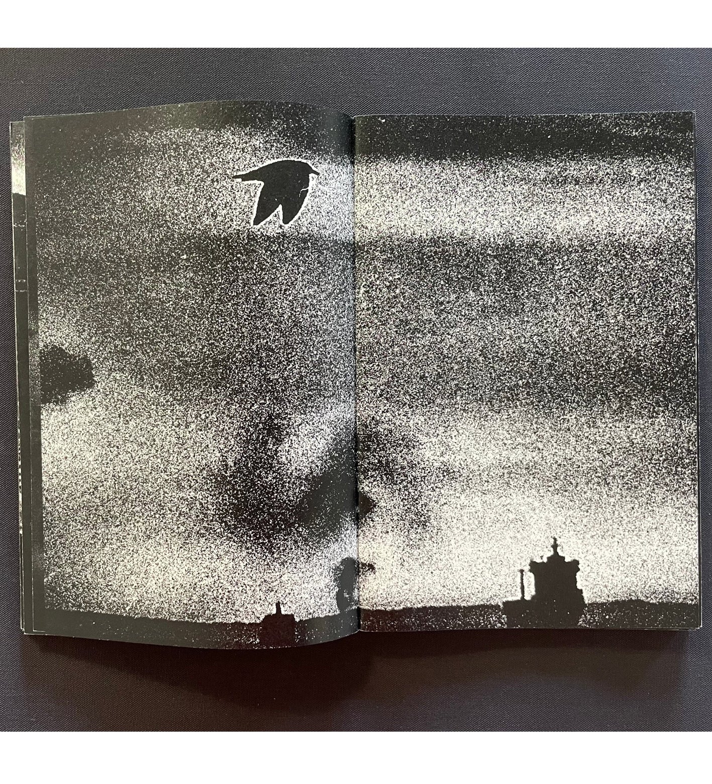 Ilias Georgiadis: Forecast / Special Edition (signed & numbered)