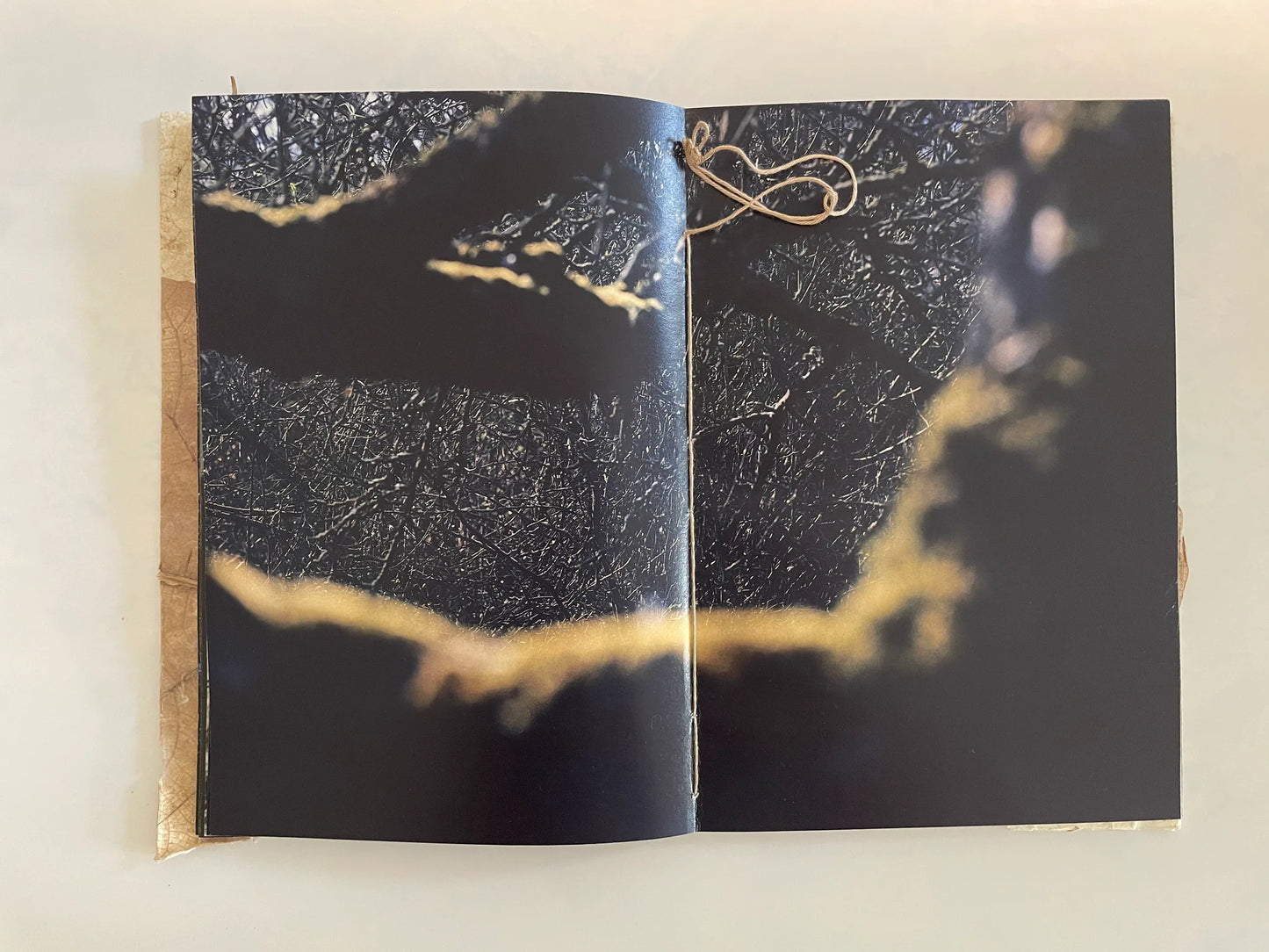 Ruslan Hushchak: Patchwork Garden (signed & numbered)