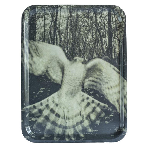 Stephen Gill: Night Procession Tray Kestrel (£48.00 incl VAT)