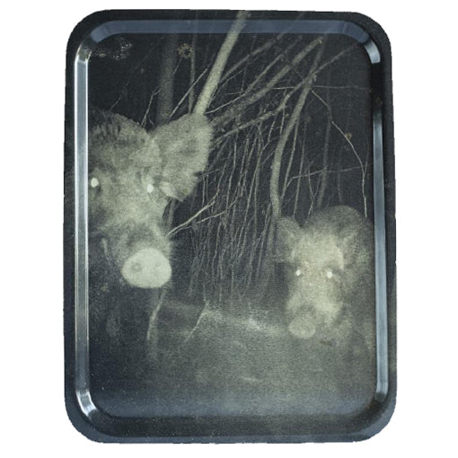 Stephen Gill: Night Procession Tray Boar (£48.00 incl VAT)