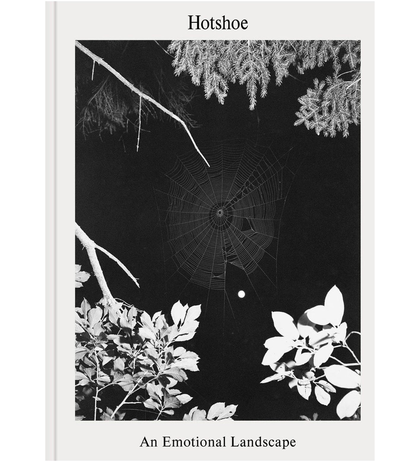 Hotshoe Issue 209/2023 - An Emotional Landscape