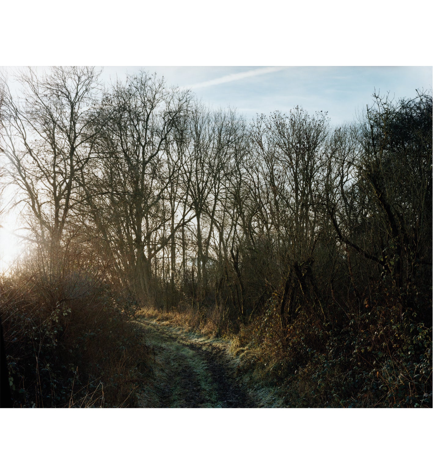 John Spinks: Harrowdown Hill (signed)