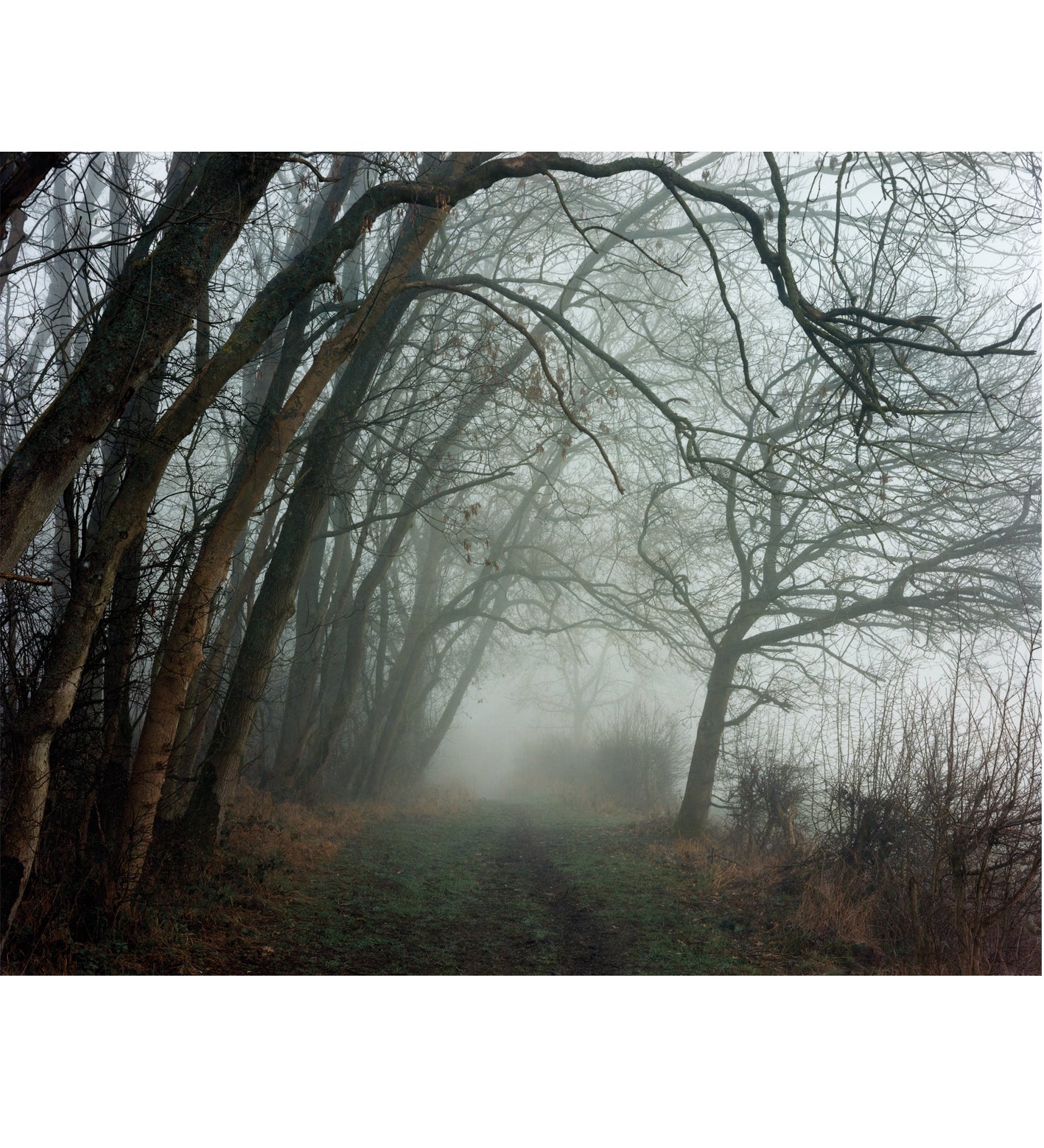 John Spinks: Harrowdown Hill (signed)