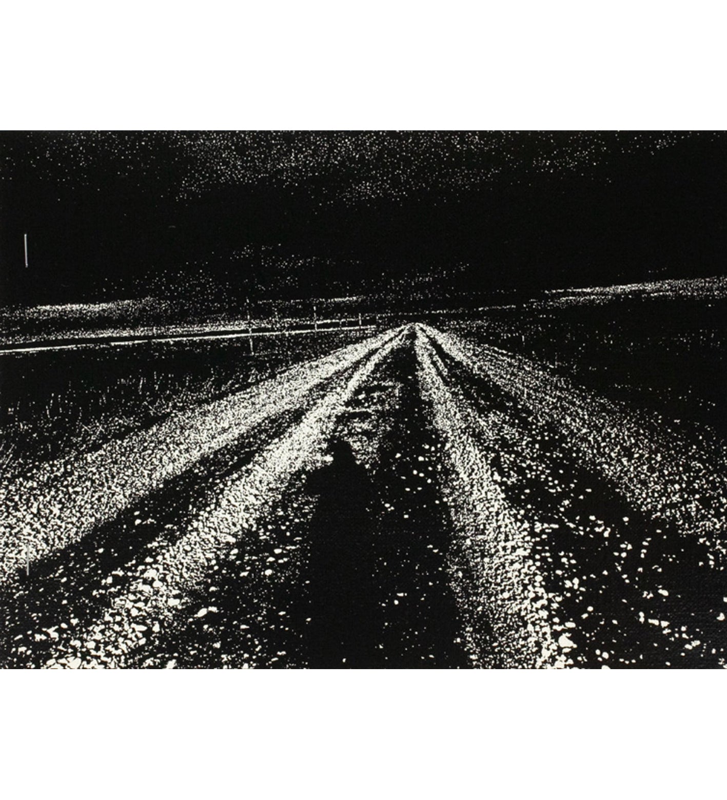 Daido Moriyama: Hokkaido (Signed)