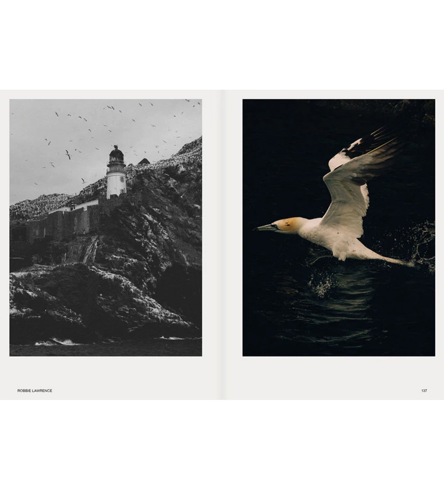 Hotshoe Issue 209/2023 - An Emotional Landscape
