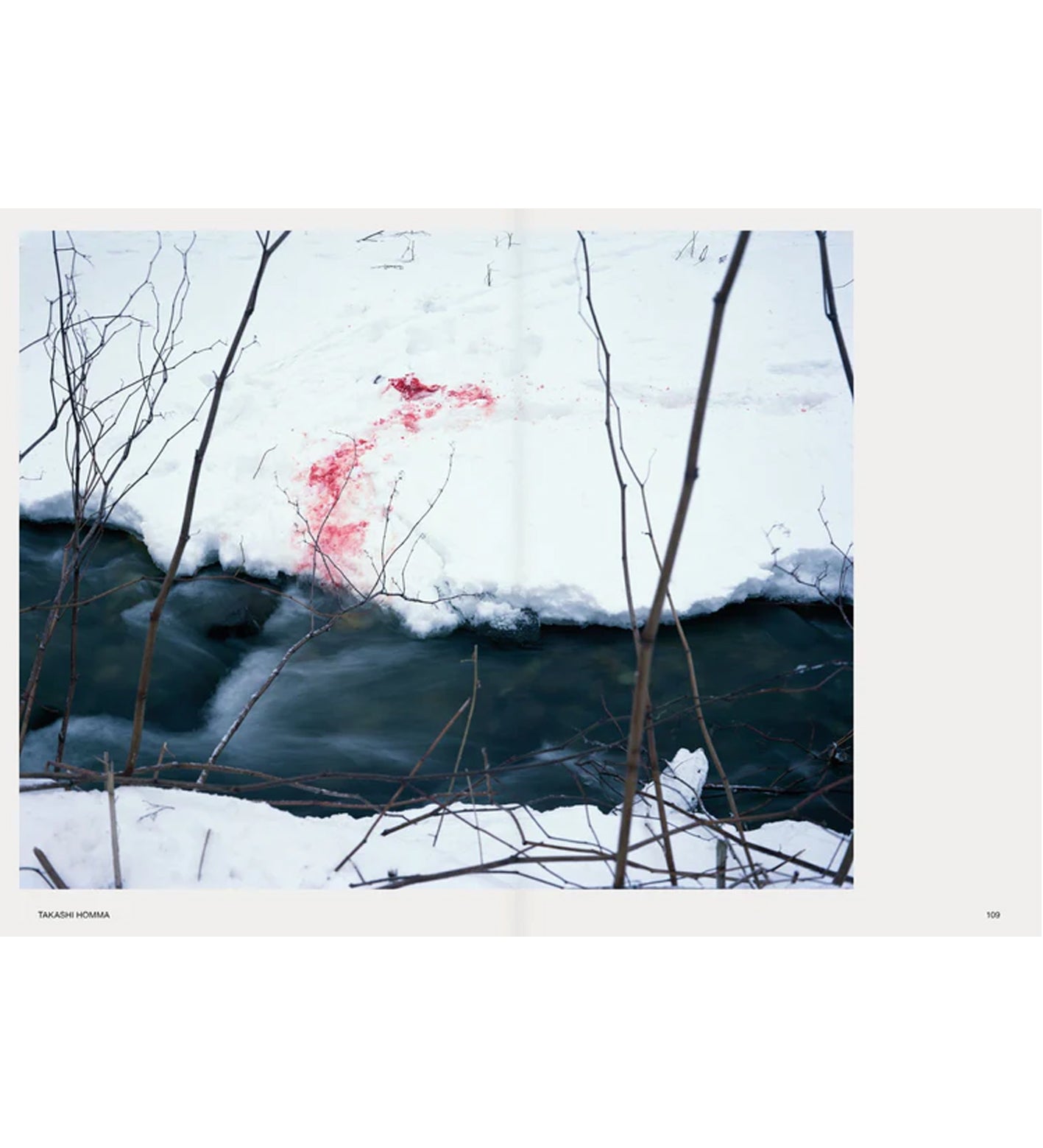 Hotshoe Issue 209/2023 - An Emotional Landscape