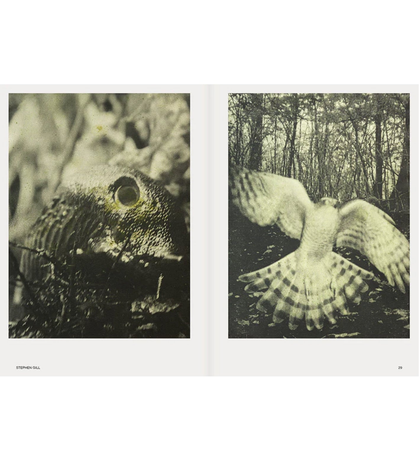 Hotshoe Issue 209/2023 - An Emotional Landscape