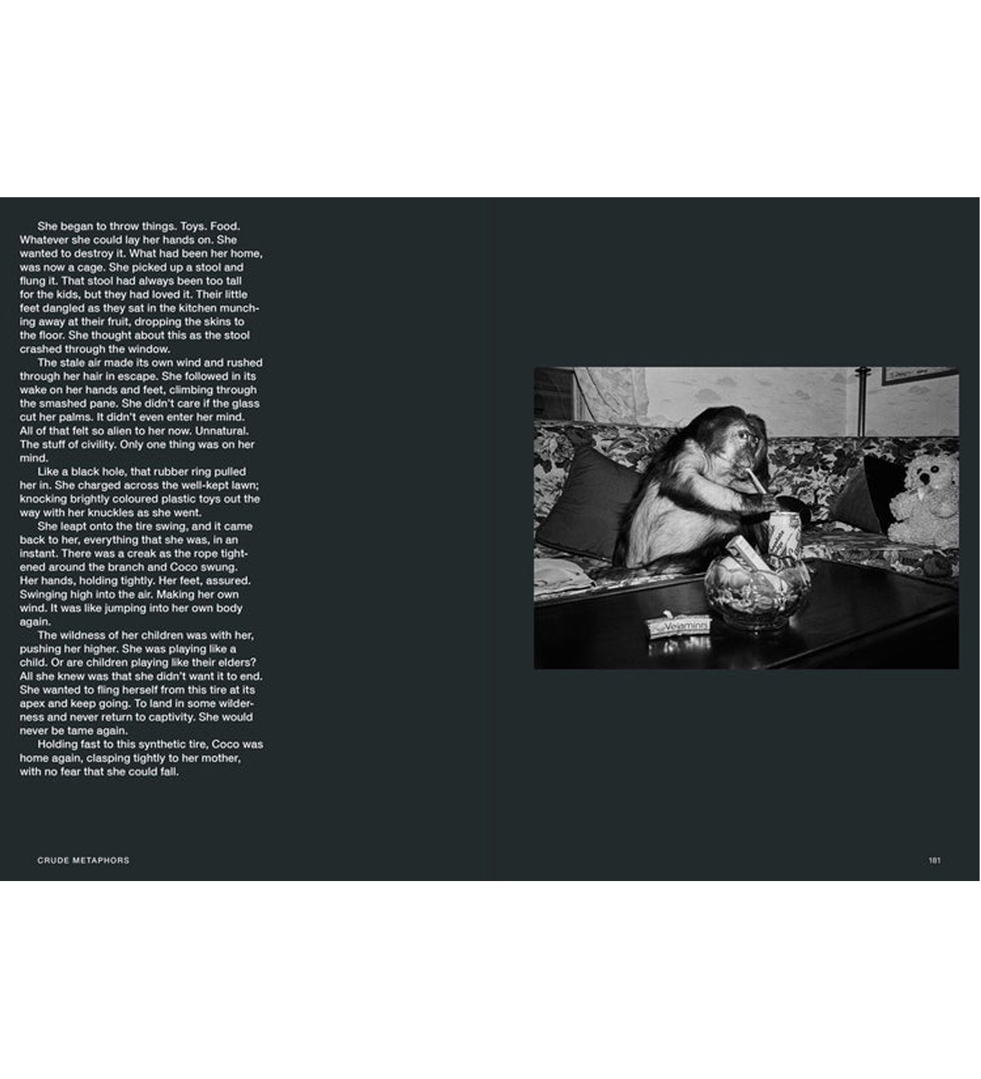 Hotshoe Issue 209/2023 - An Emotional Landscape
