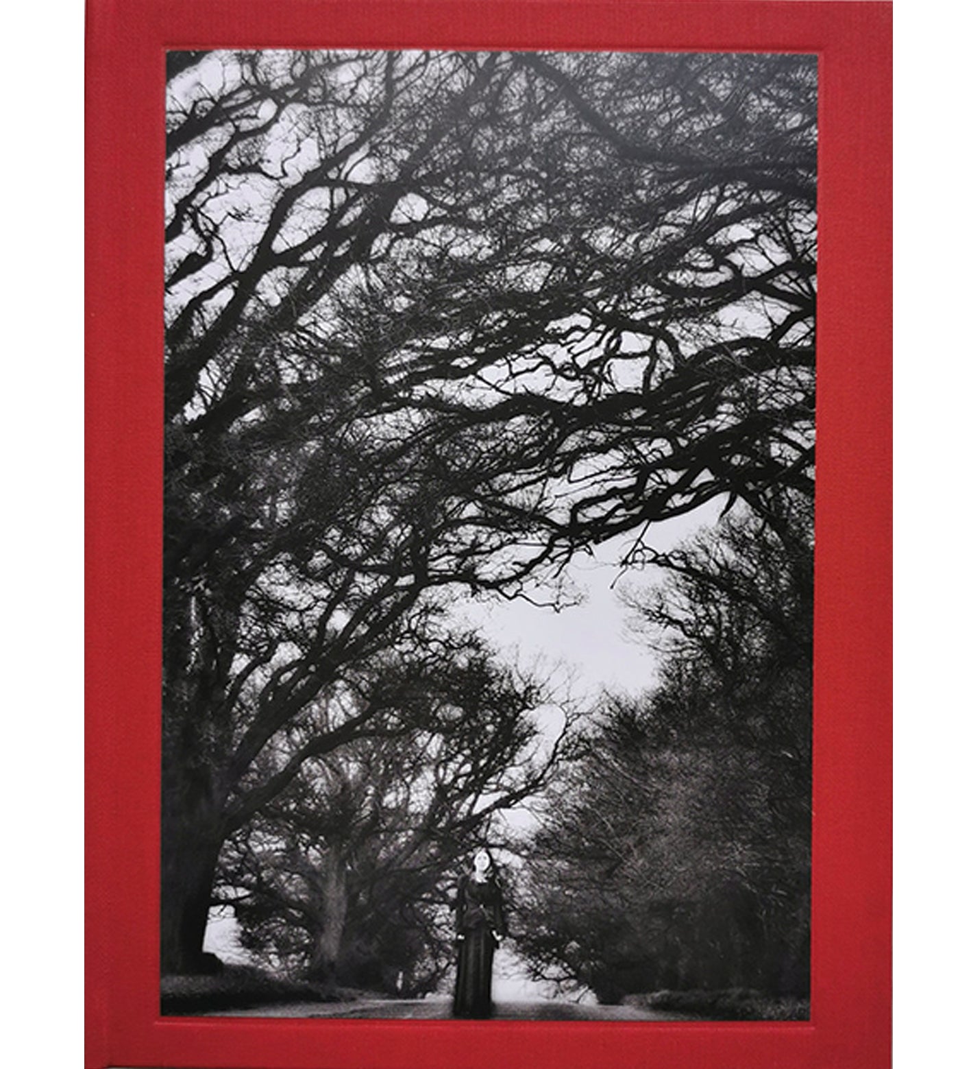 Ania Ready: I Also Fight Windmills - a literary photobook (signed)