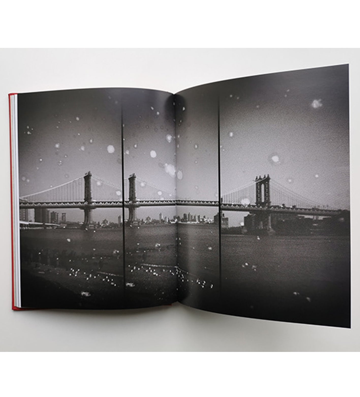 Ania Ready: I Also Fight Windmills - a literary photobook (signed)