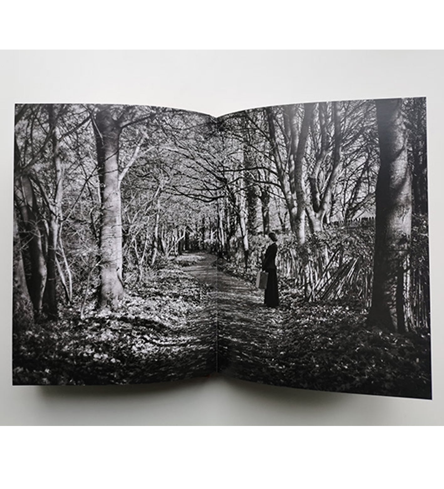 Ania Ready: I Also Fight Windmills - a literary photobook (signed)