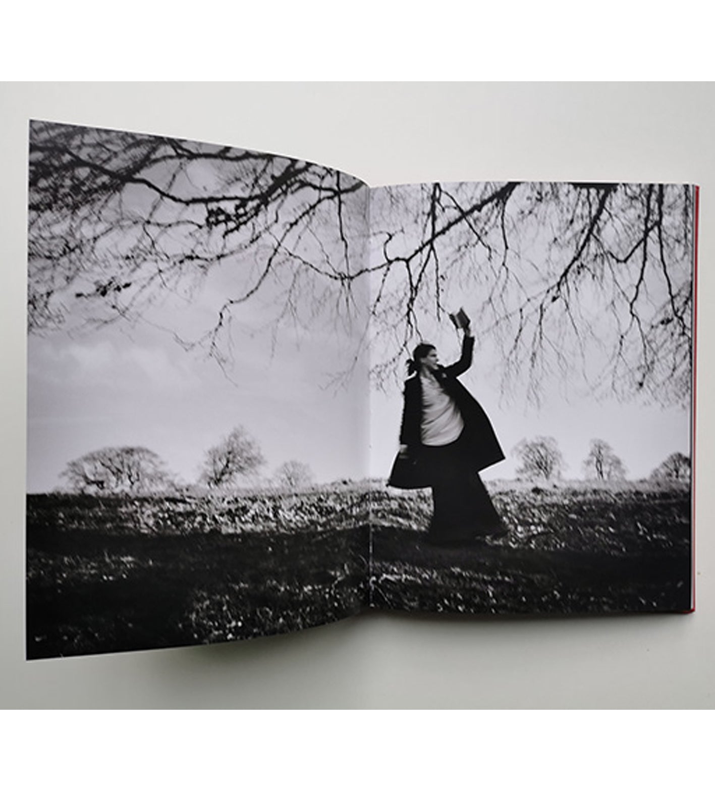 Ania Ready: I Also Fight Windmills - a literary photobook (signed)
