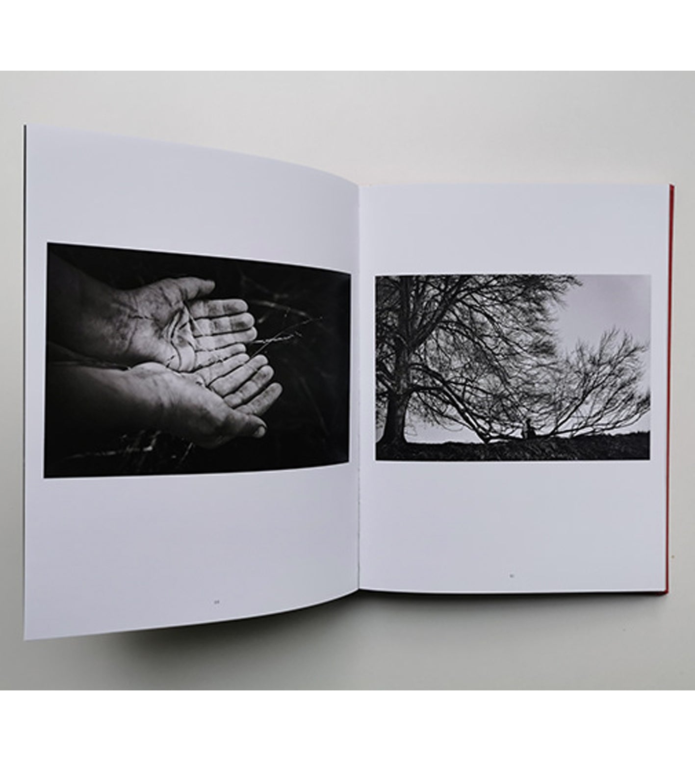 Ania Ready: I Also Fight Windmills - a literary photobook (signed)
