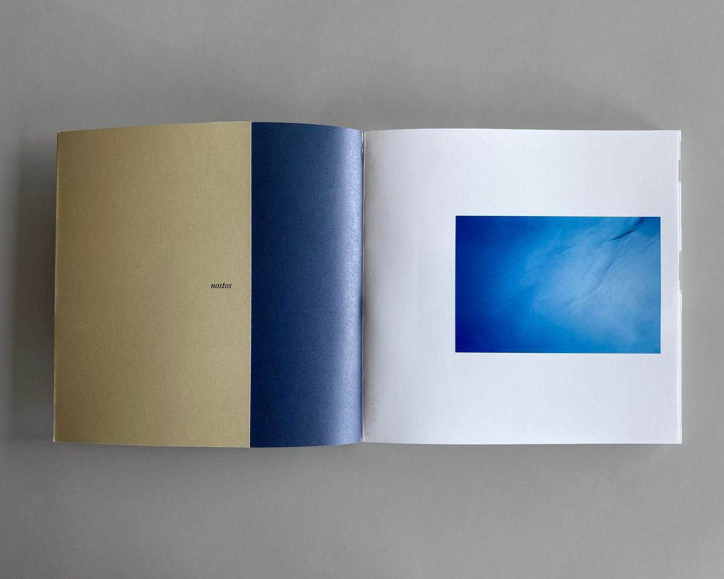 Etienne Audrey Bruce: Xenitia