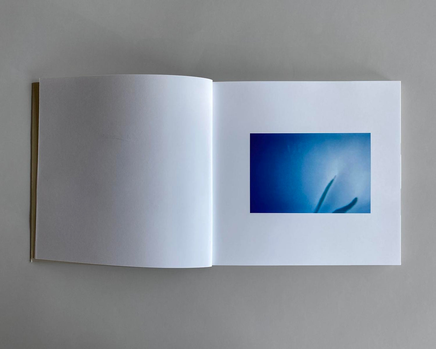 Etienne Audrey Bruce: Xenitia