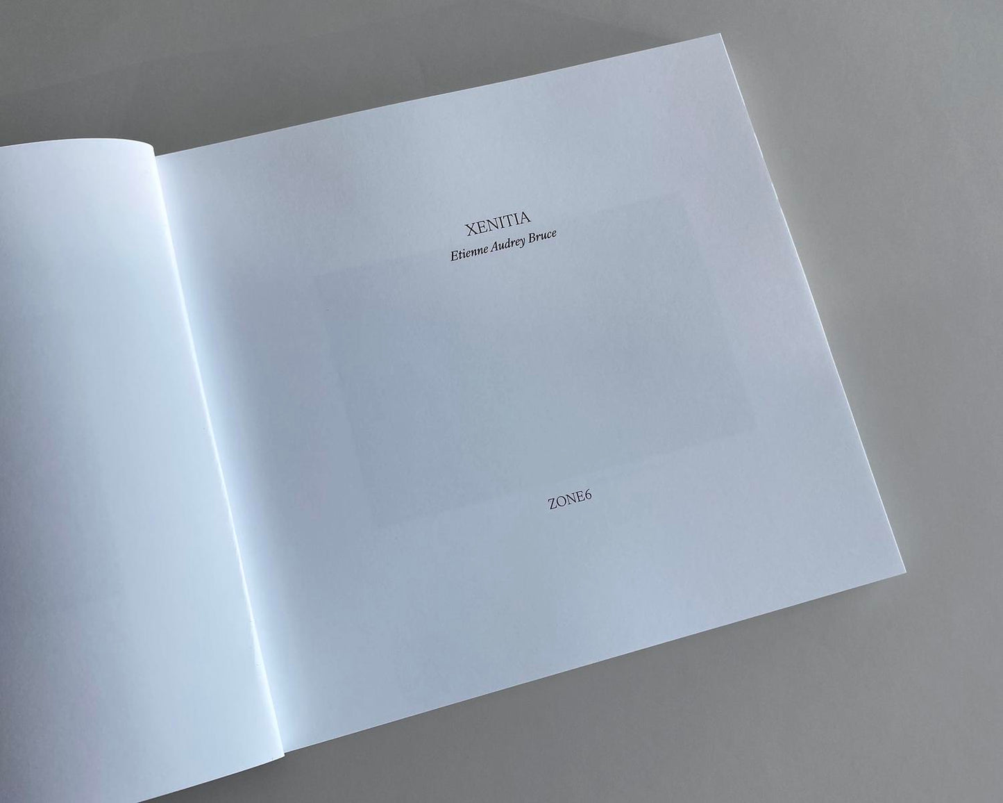 Etienne Audrey Bruce: Xenitia