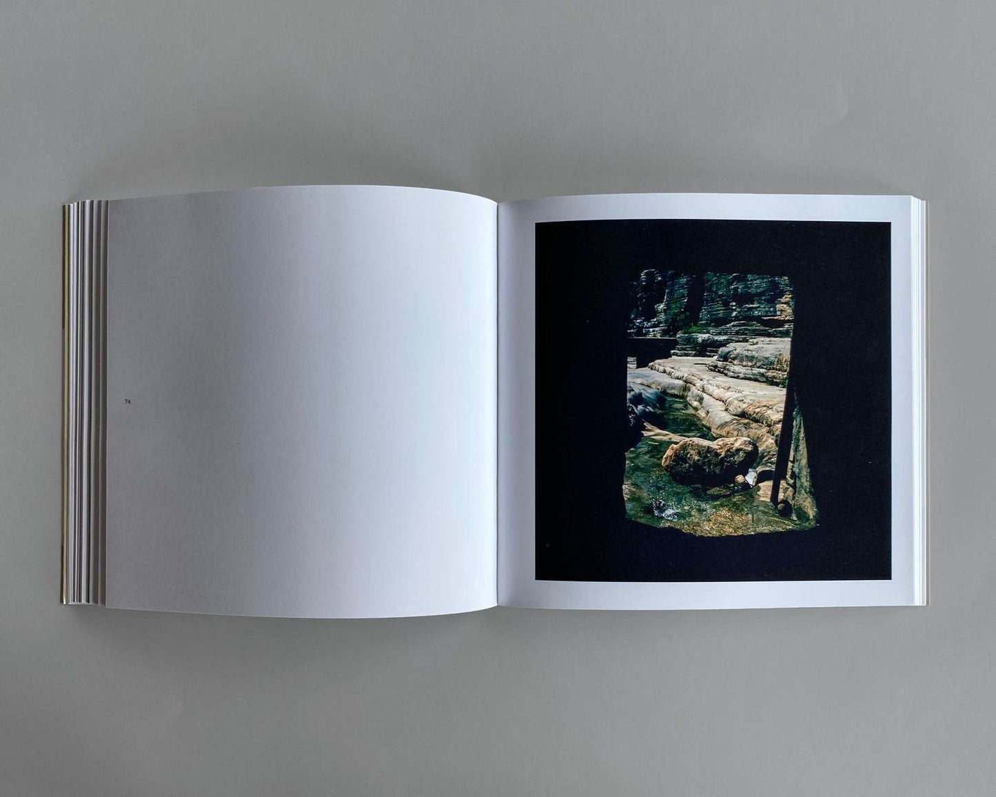 Etienne Audrey Bruce: Xenitia