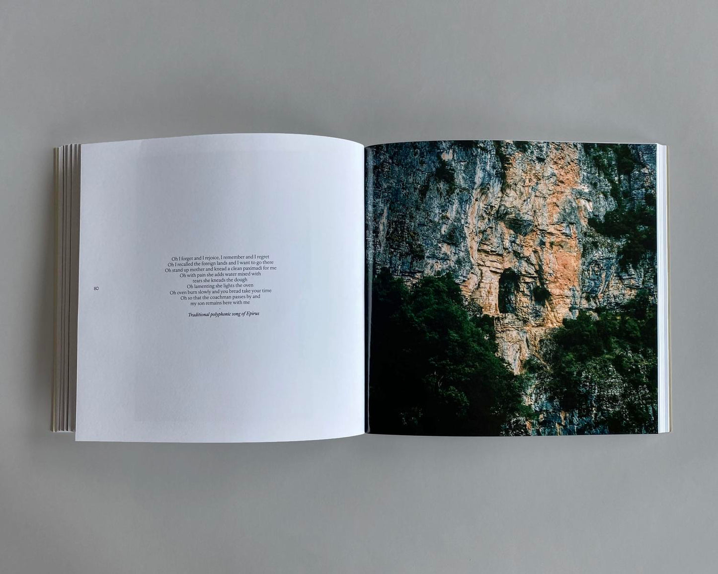Etienne Audrey Bruce: Xenitia