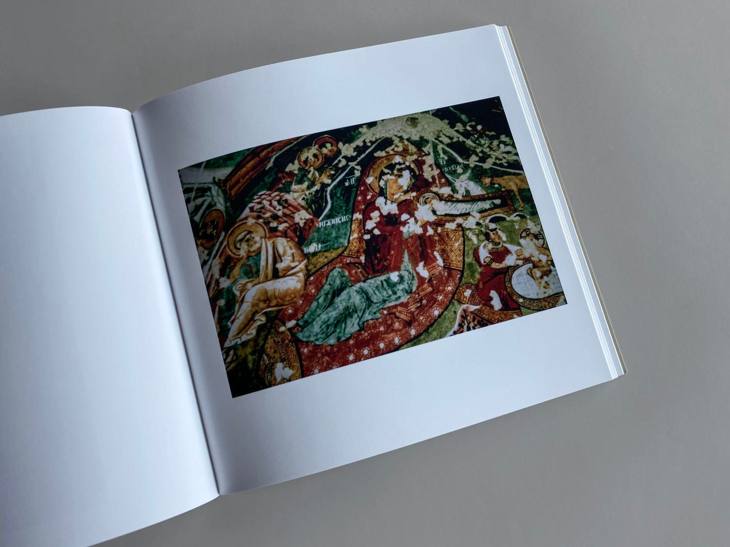 Etienne Audrey Bruce: Xenitia