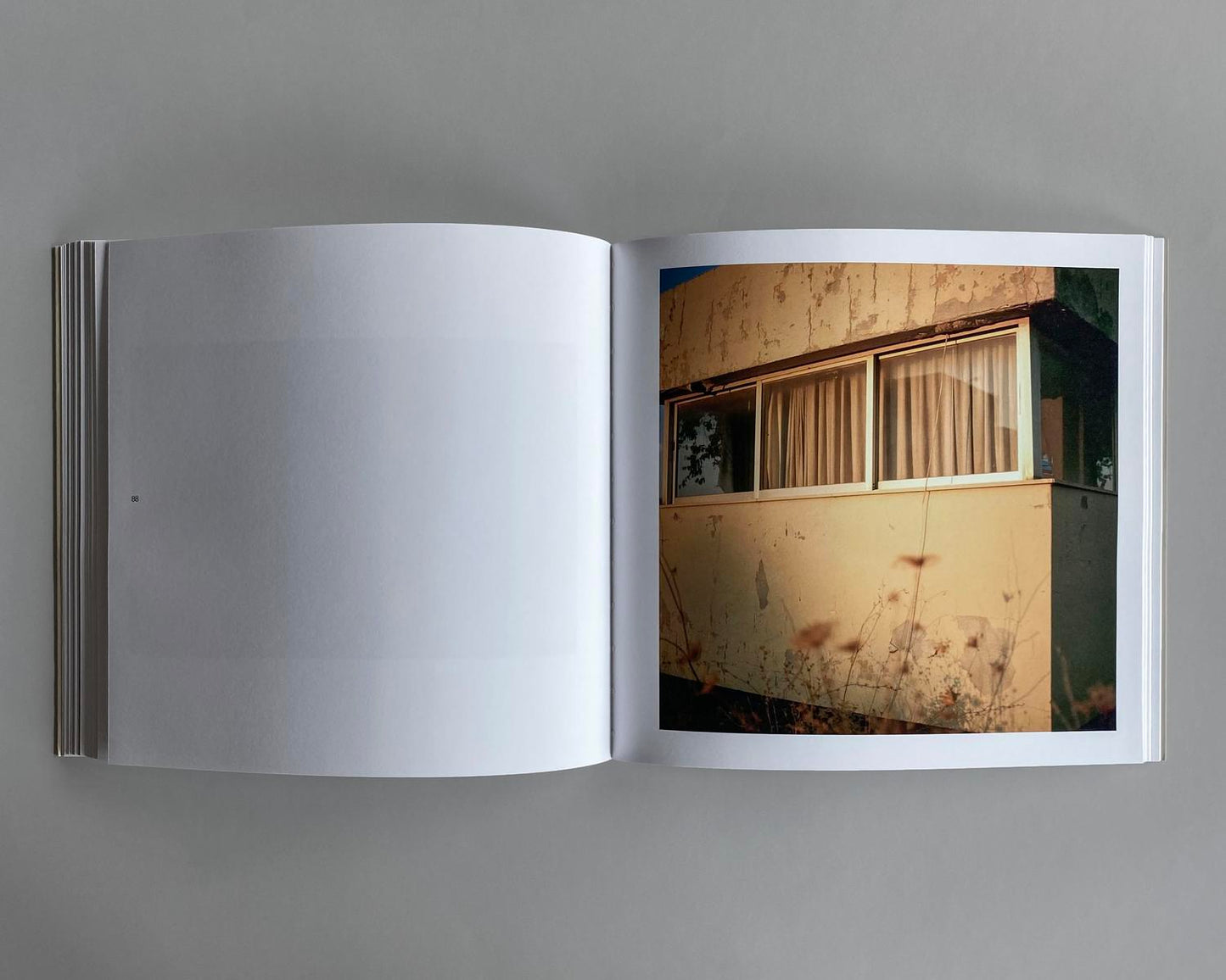 Etienne Audrey Bruce: Xenitia