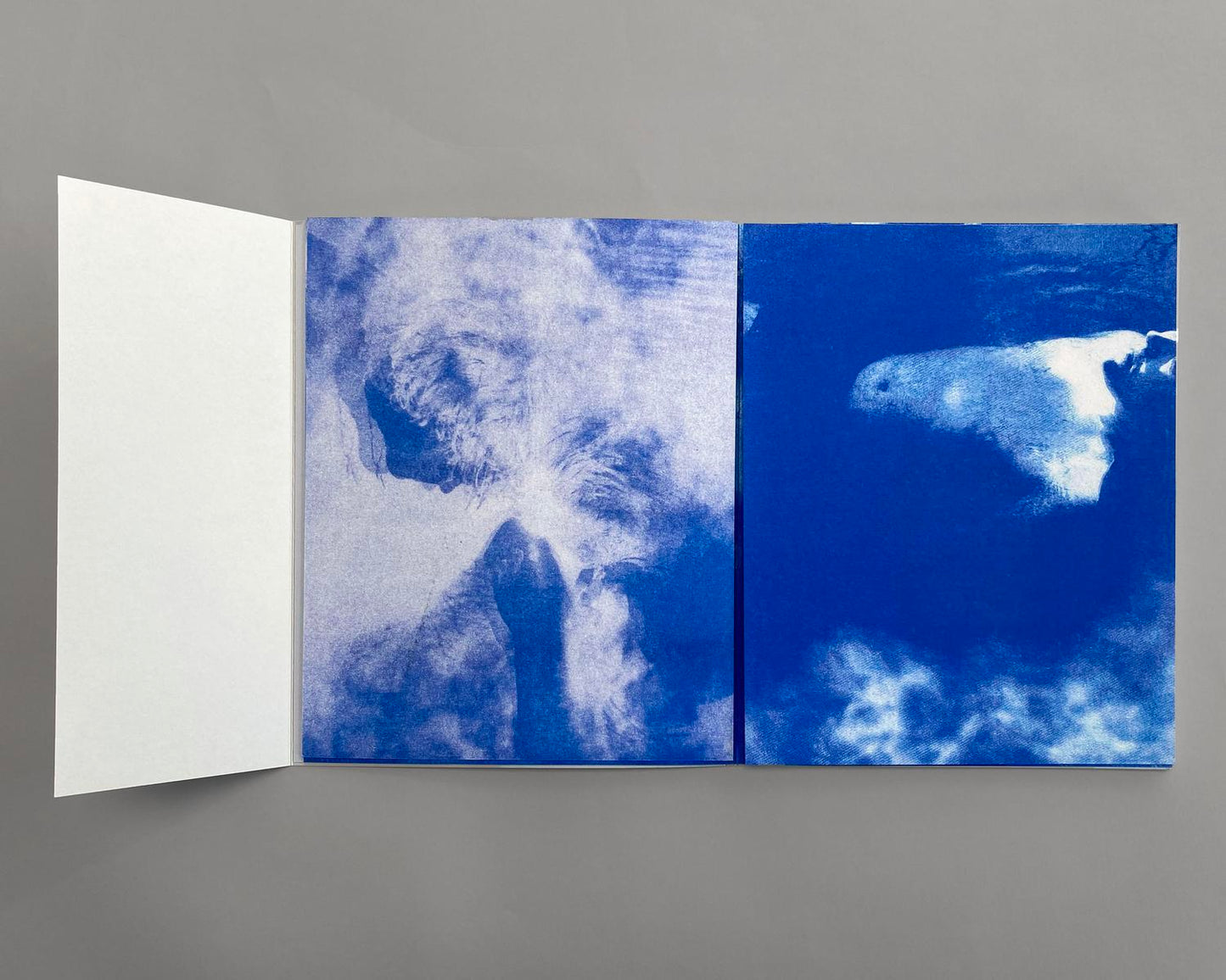 Idle Idyll: Izzy Leach