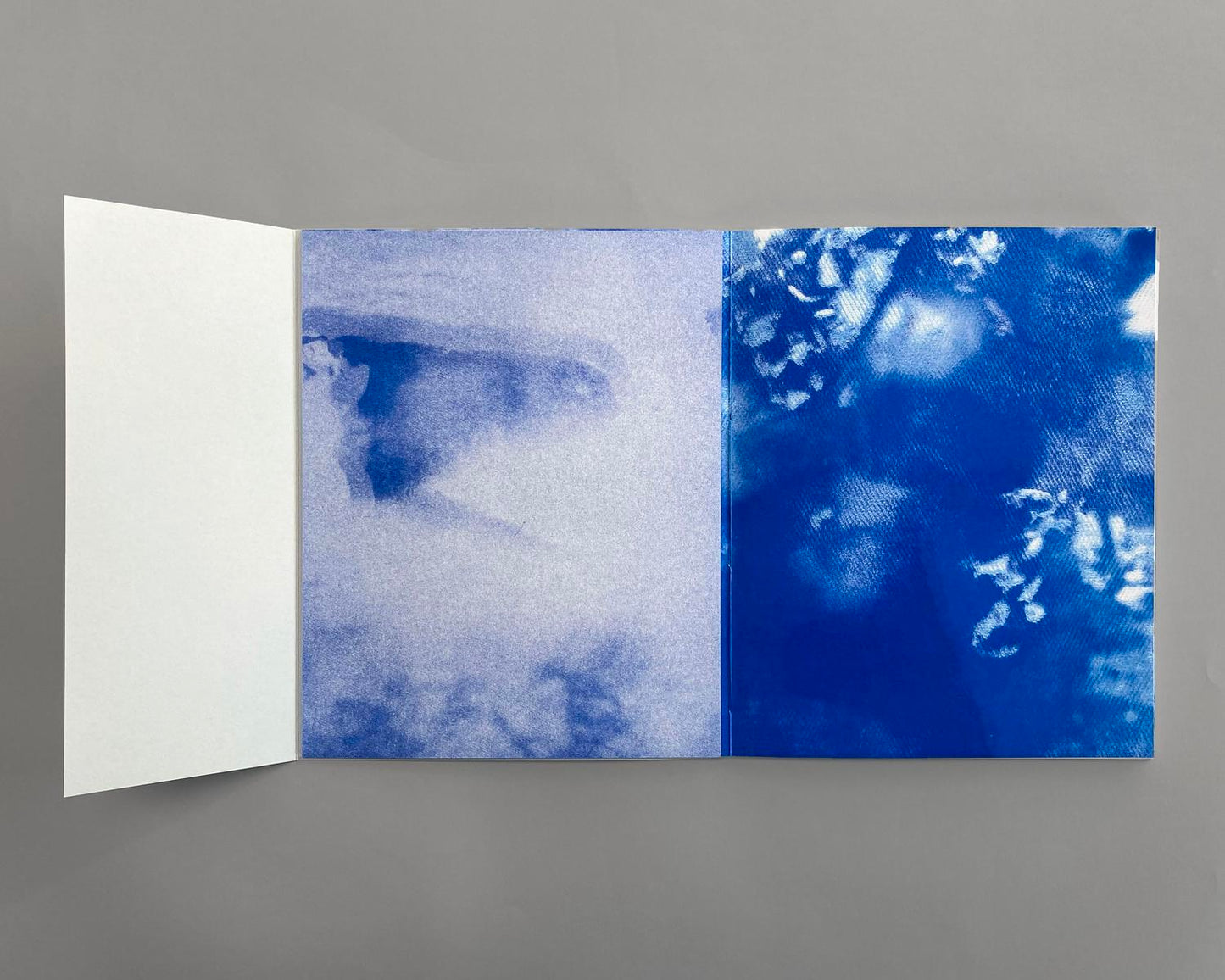 Idle Idyll: Izzy Leach