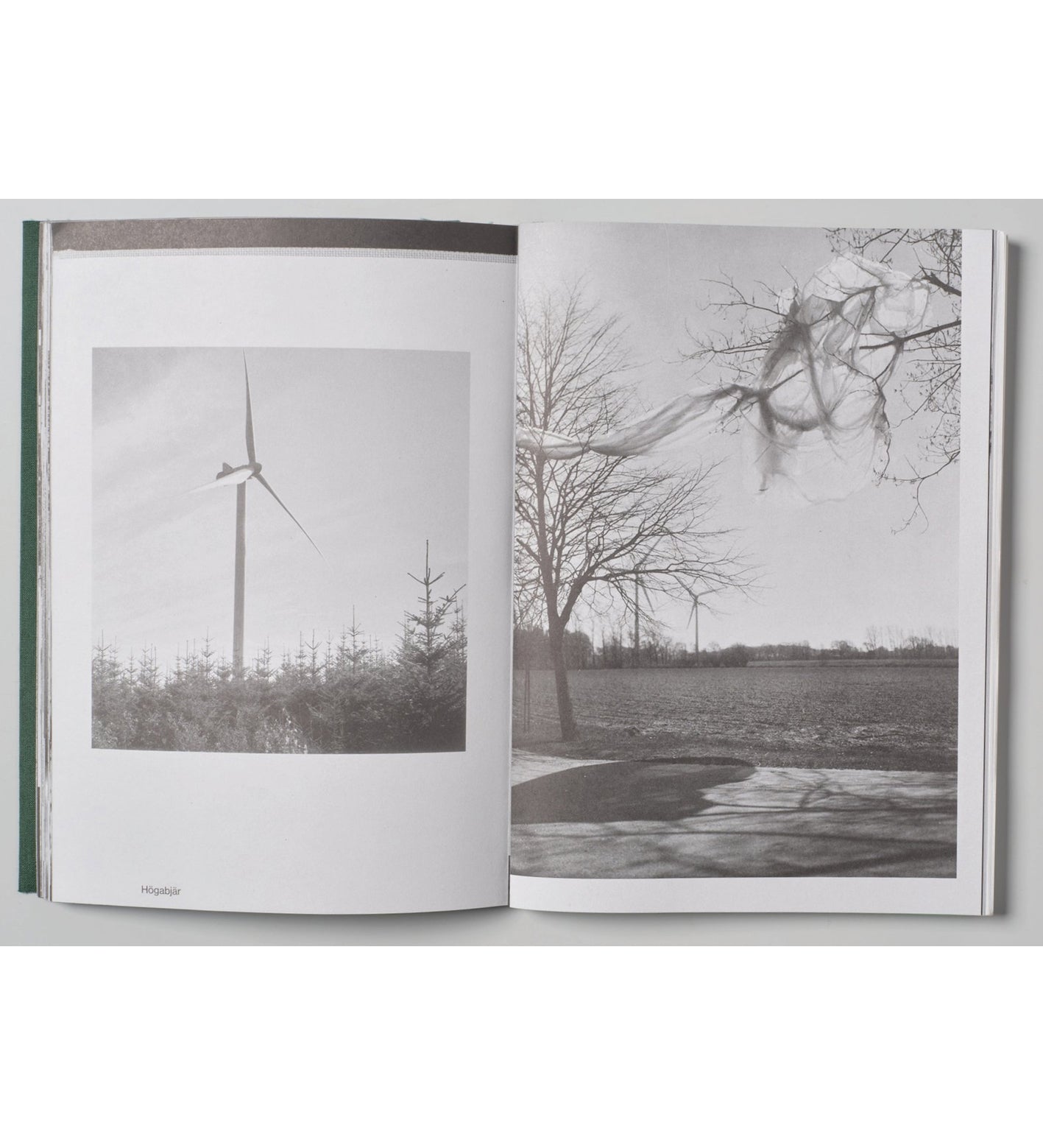 Omne / Index Naturae