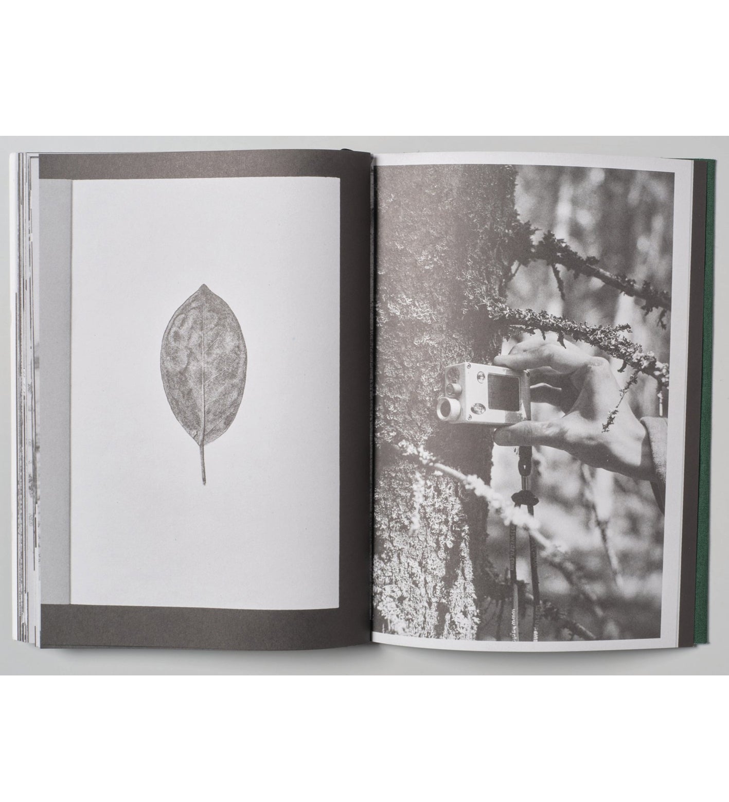 Omne / Index Naturae