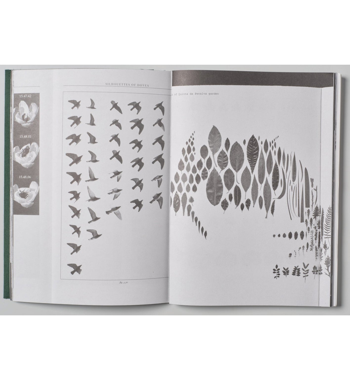 Omne / Index Naturae