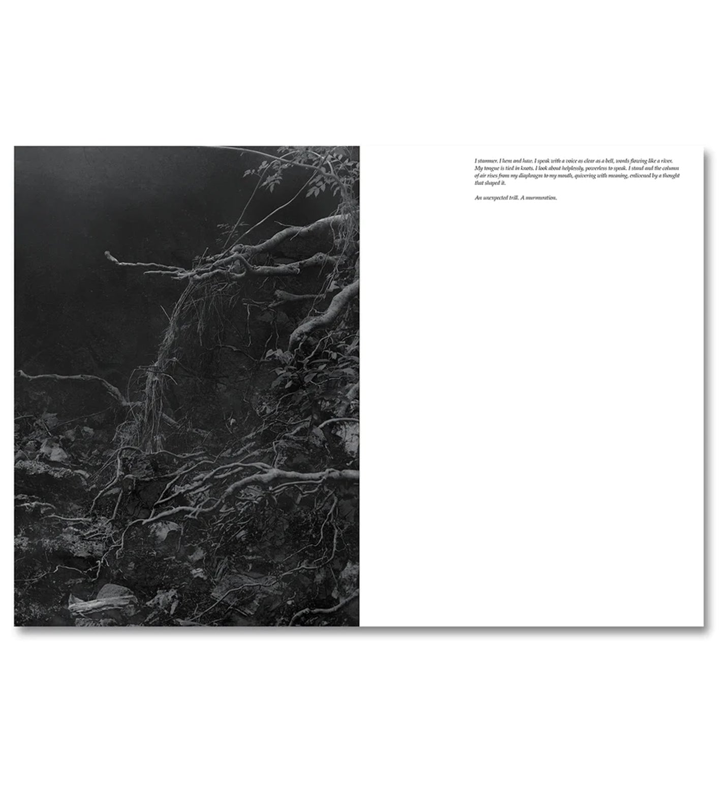 Raymond Meeks/George Weld: The Inhabitants (signed)