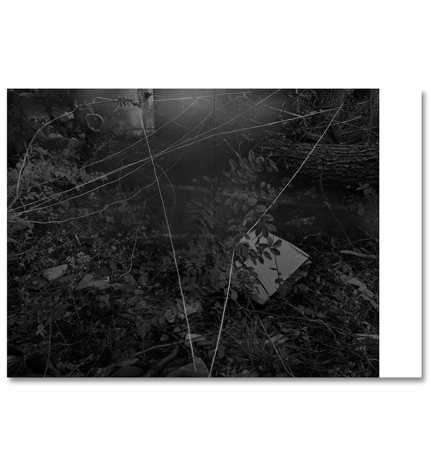 Raymond Meeks/George Weld: The Inhabitants (signed)