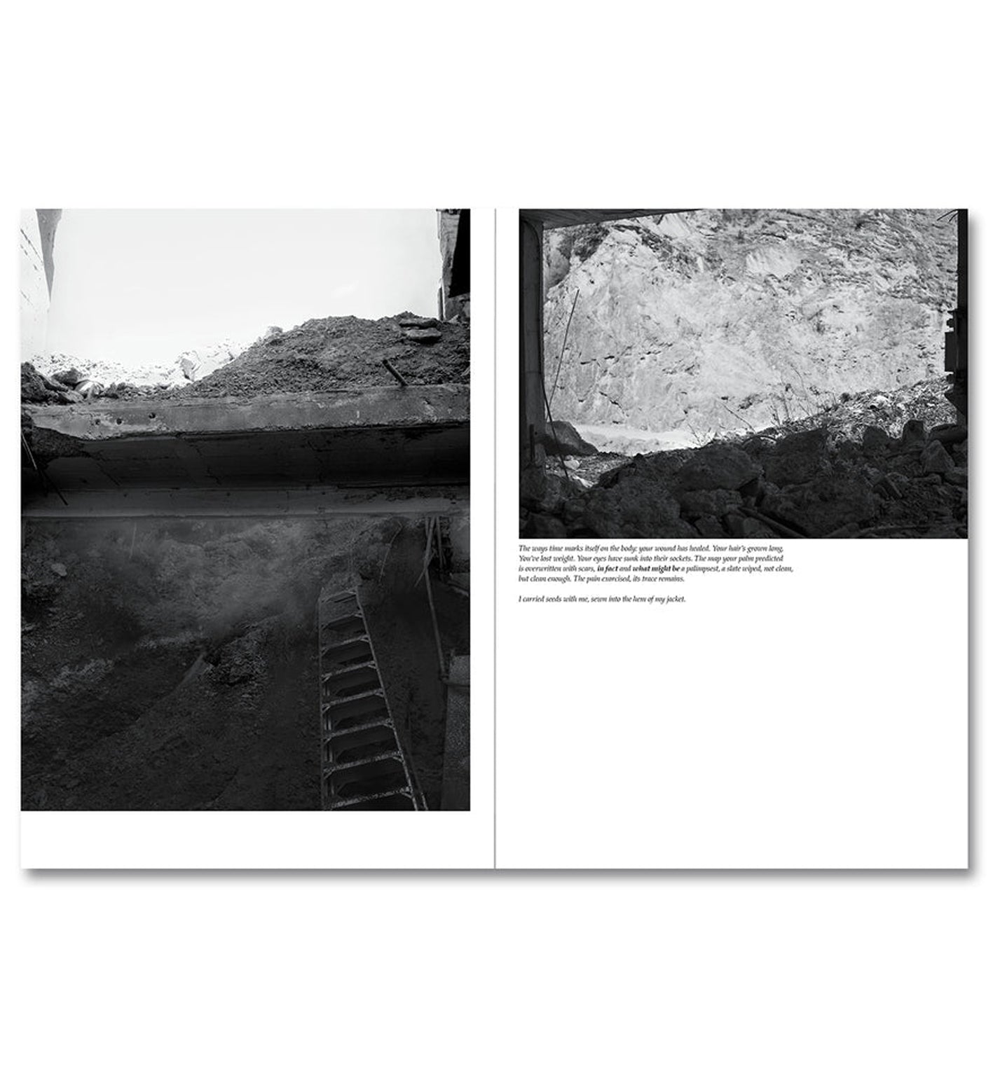 Raymond Meeks/George Weld: The Inhabitants (signed)